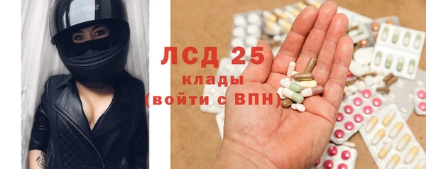 крисы Алзамай