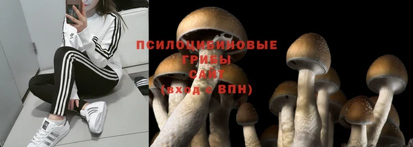 кокаин колумбия Алексеевка