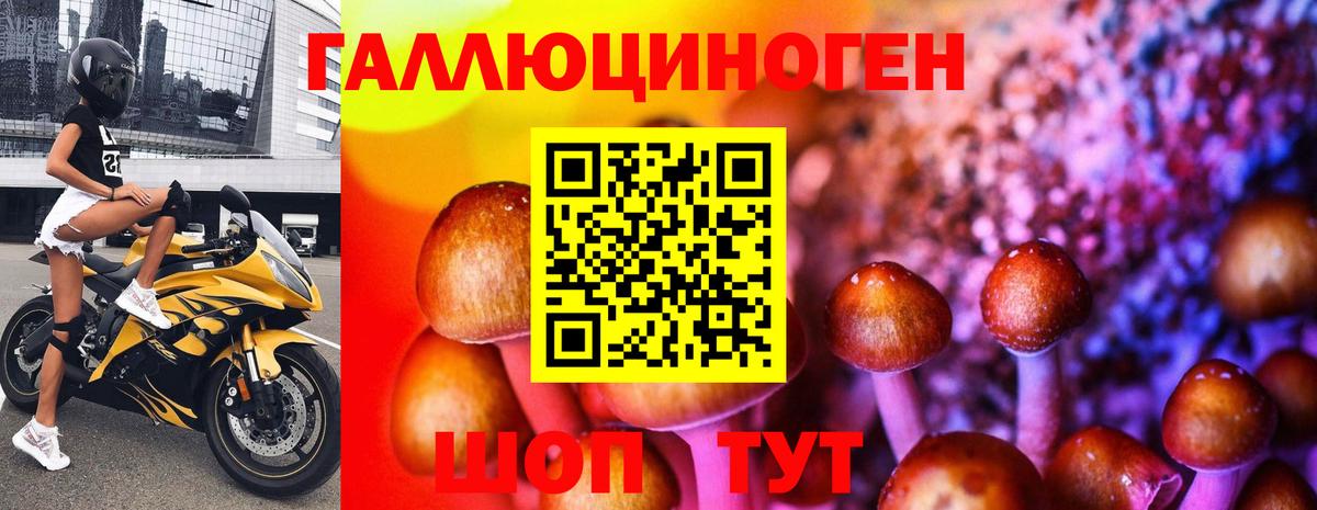 Псилоцибиновые грибы прущие грибы  Вход с VPN  Псилоцибиновые грибы GOLDEN TEACHER  Топки 